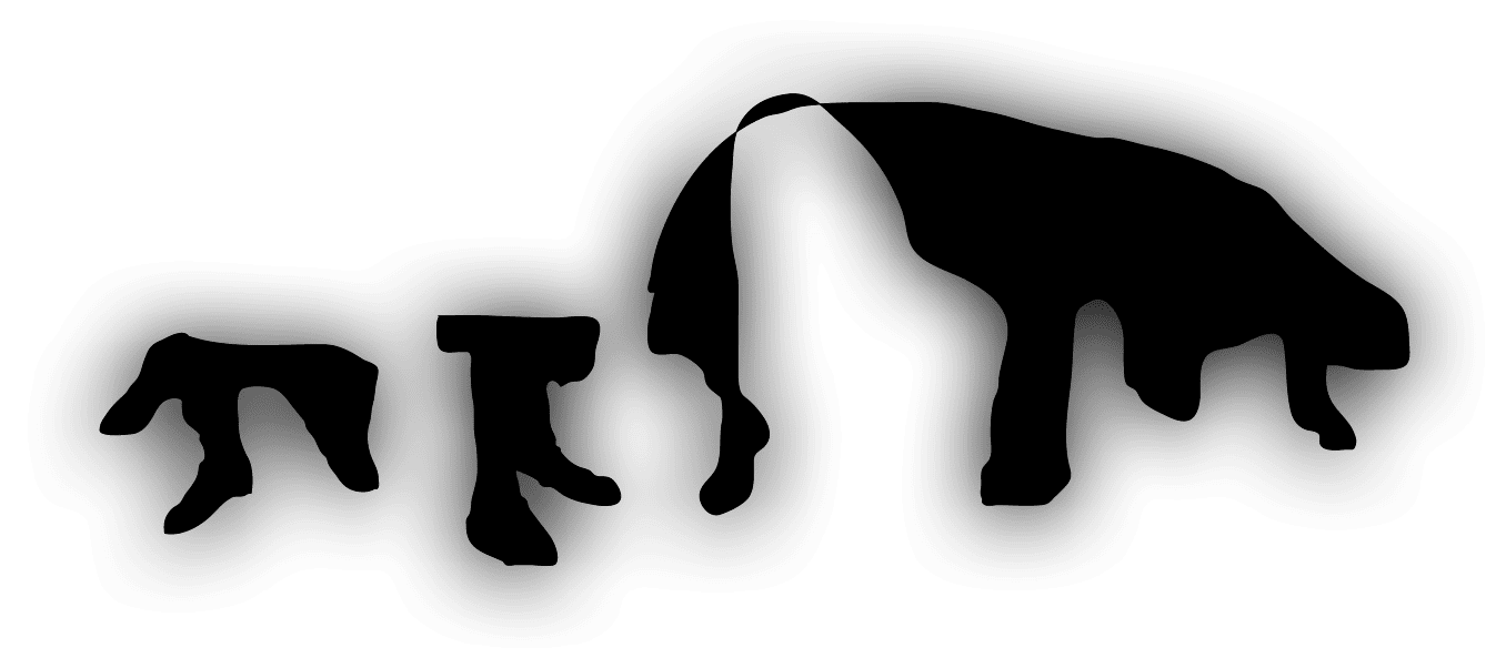 Polygon